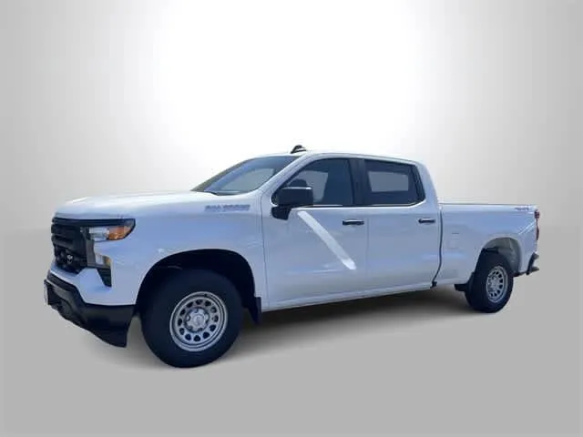 New 2024 Chevrolet Colorado W/T