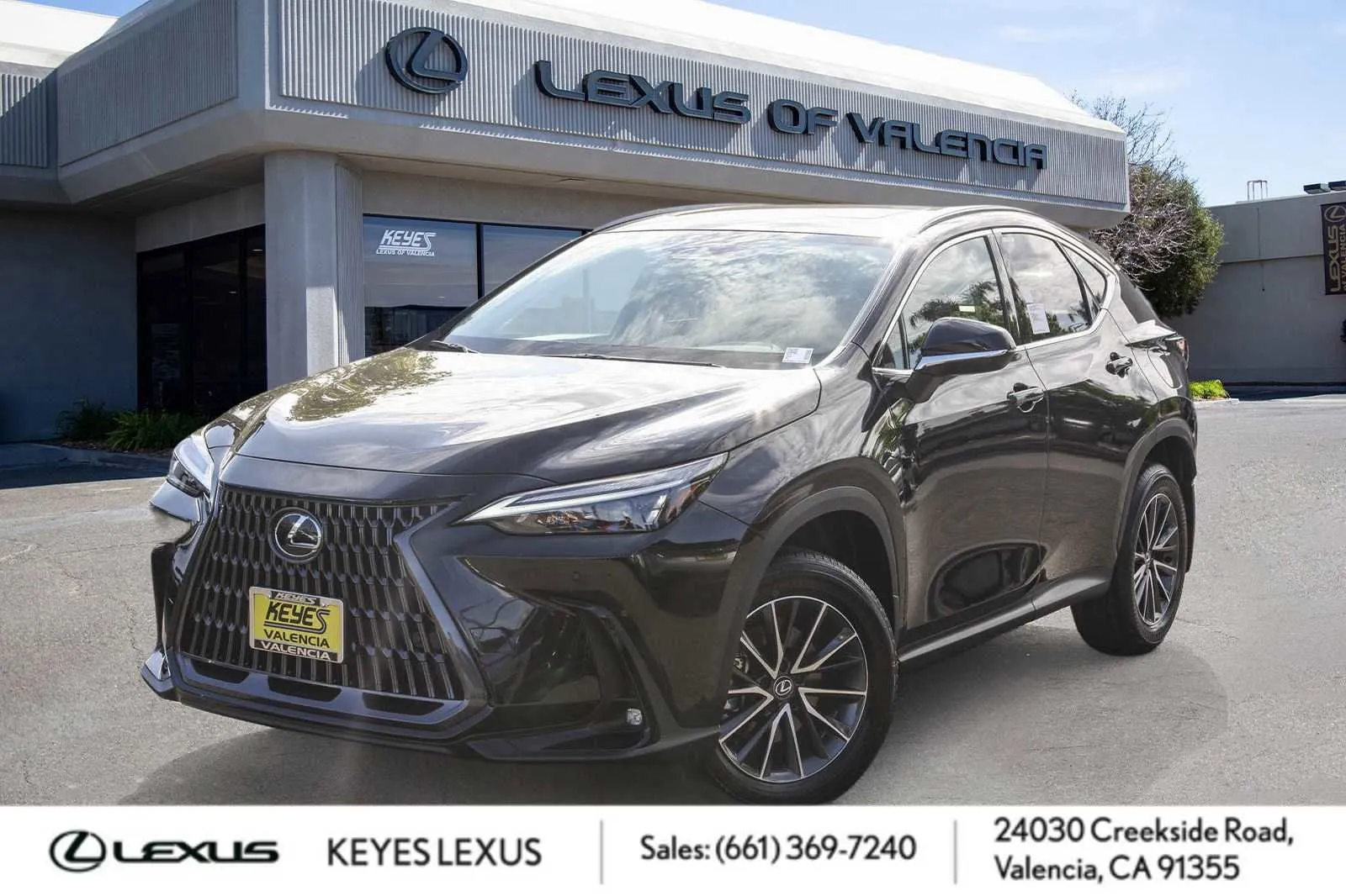 New 2025 Lexus NX 250 FWD