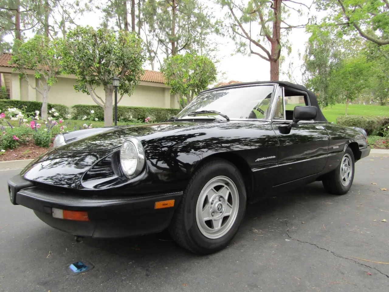 Used 1987 Alfa Romeo Spider Veloce