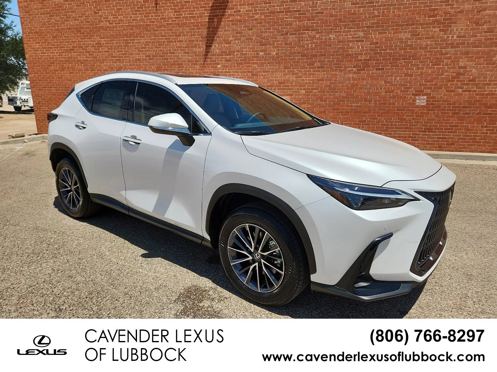 New 2025 Lexus NX 350h AWD w/ Premium Package