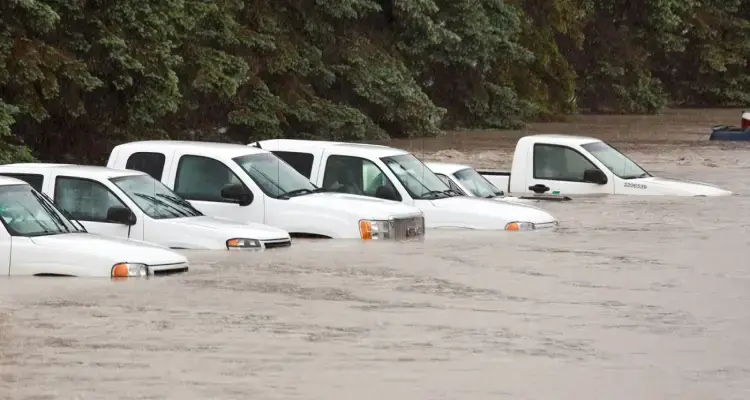 How to Spot Flood-Damaged and Salvage Title Cars?